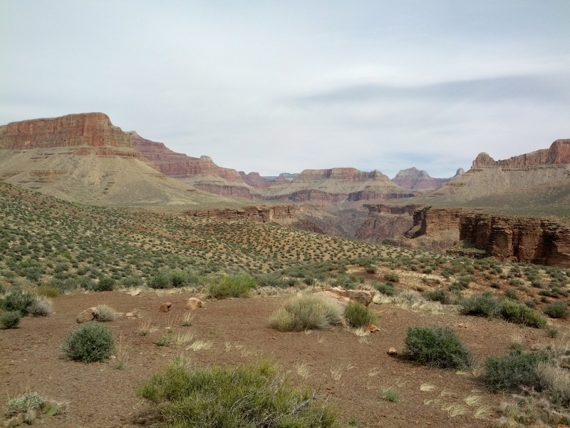 IMG_20130315_135913.jpg
